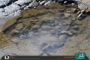 لنگر نیوز.jpg222